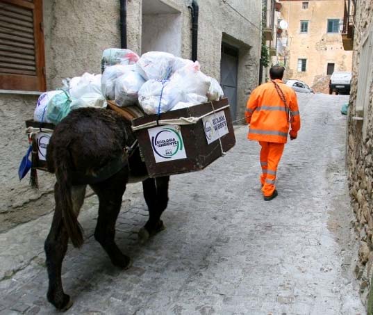 Recycling Donkey