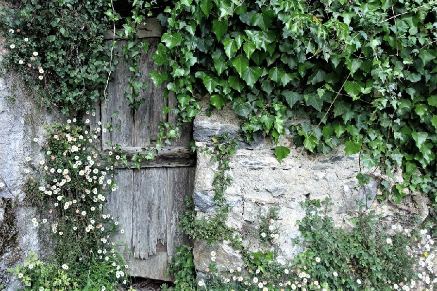 Enchanted doorway in Pigna